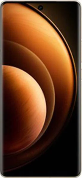 vivo X100