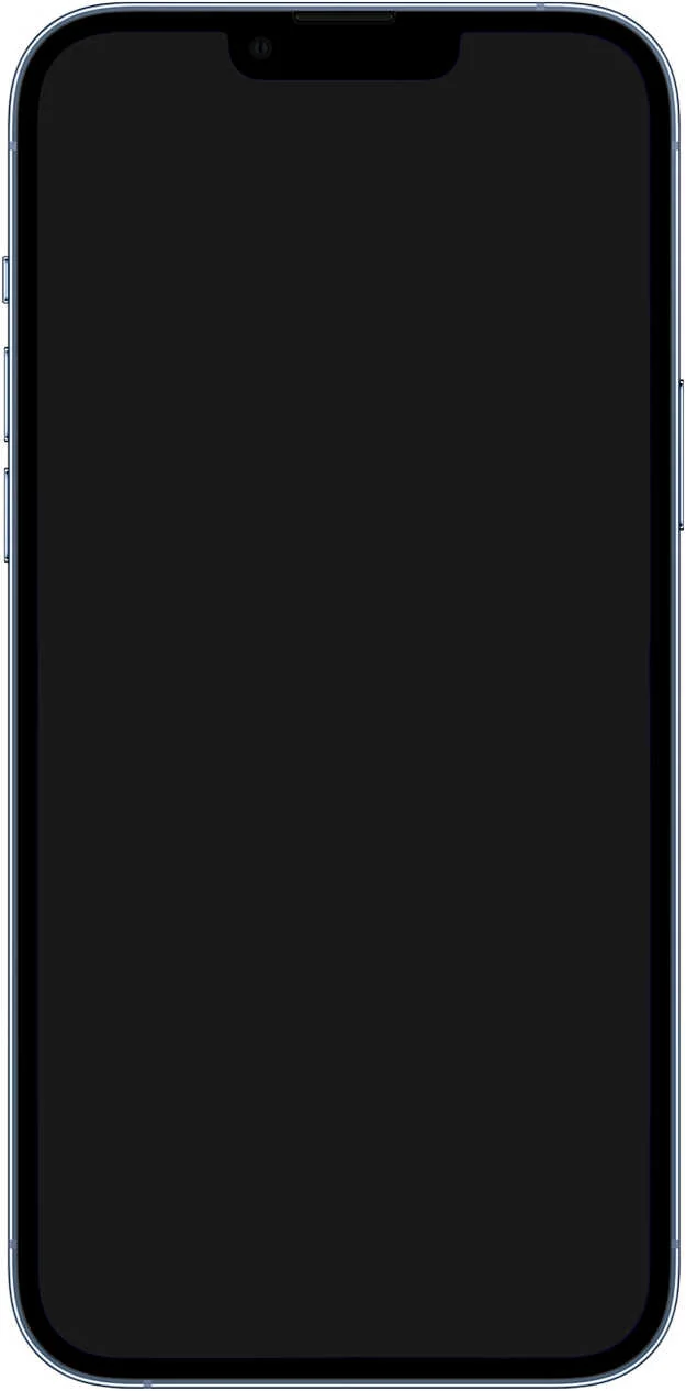 Apple iPhone 13 Pro Max